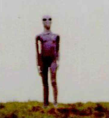 http://alien-ufo-research.com/images/alien/alien_on_hill.jpg