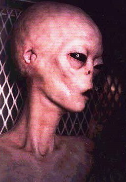 http://alien-ufo-research.com/images/alien/alien_pic.jpg