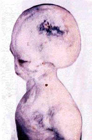 http://alien-ufo-research.com/images/alien/alien_pic2.jpg