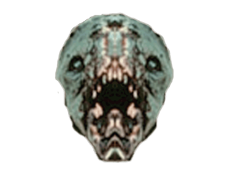 Chupacabra Skull